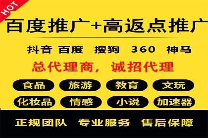 某公司通过竞价SEM优化搜索引擎排名案例